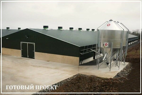 Этапы возведения птицефабрики от завода ВелесТент-кмр